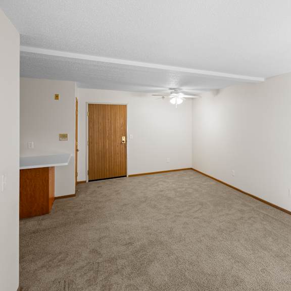 a room with a carpeted floor and a wooden door.