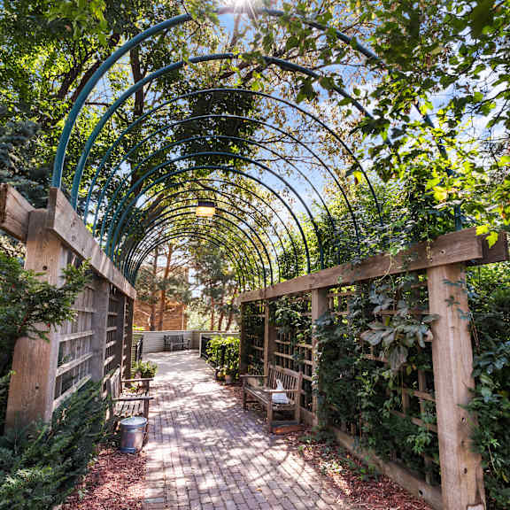 a green arched trellis runs along a brick pathway in a lush garden.