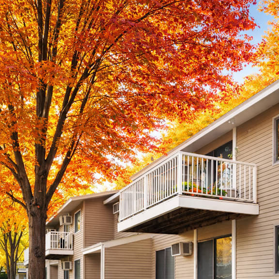 a tree with orange leaves is in front of a building.