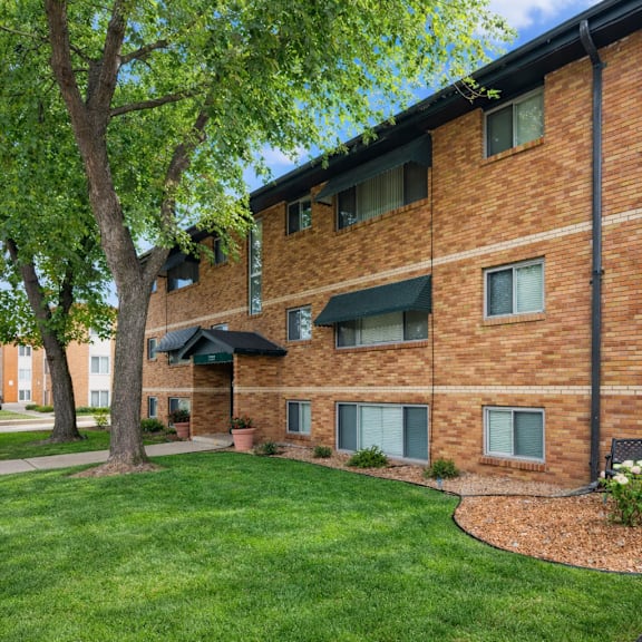 a tree is in front of a brick building.