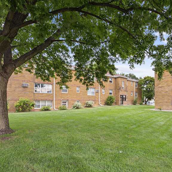 a tree in front of a brick building.