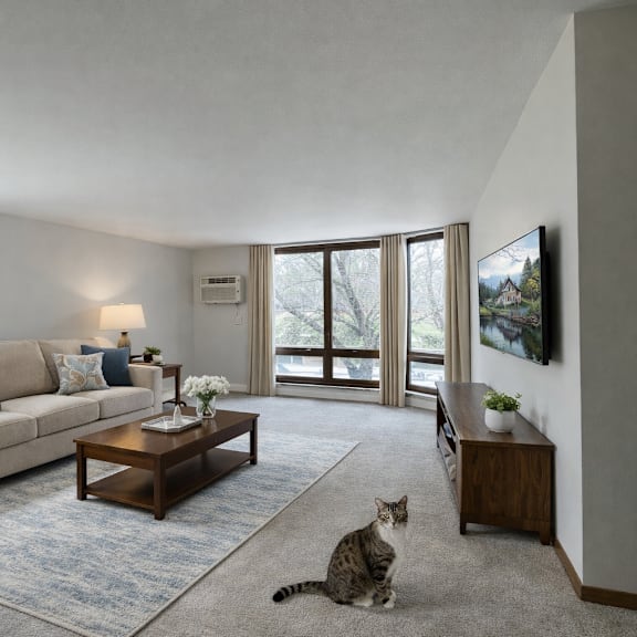 a cat is sitting on the floor in a living room.