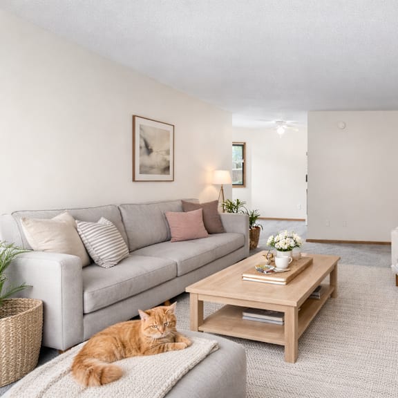 a woman is sitting on a couch in a living room with a cat lying on the floor.