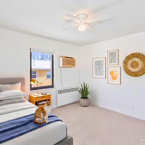 a cat is sitting on a bed in a bedroom with a ceiling fan.