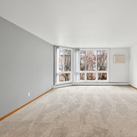 a room with a carpeted floor and a window with a view of trees.