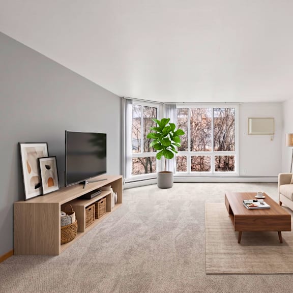 a living room with a couch, a coffee table, a television, and a potted plant.