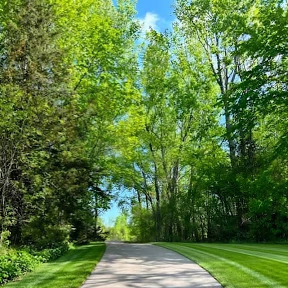 a tree-lined road stretches into the distance.