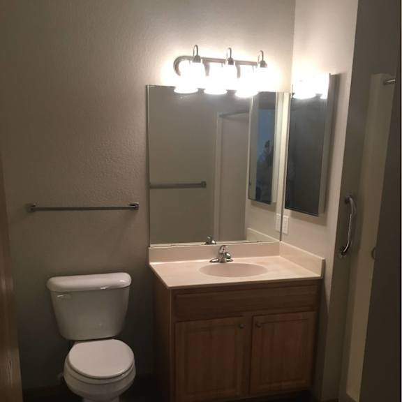 a white toilet sits next to a sink in a bathroom.