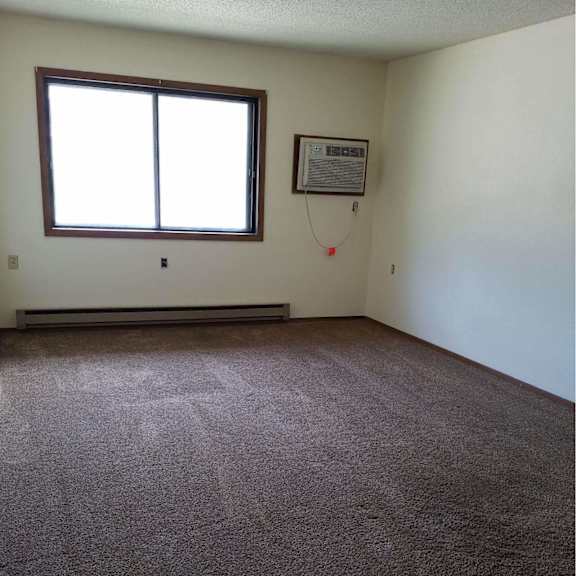 a room with a brown carpet and a window.