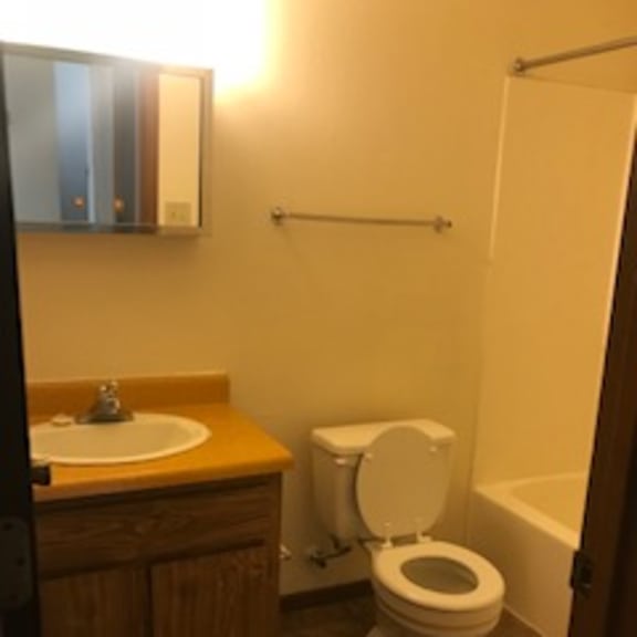 a white toilet is in a bathroom with a sink and a mirror.