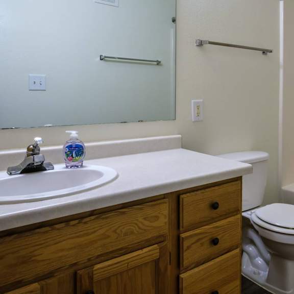 a white toilet sits next to a sink in a bathroom.