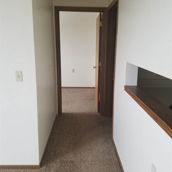a hallway with a brown door and carpeted floor.