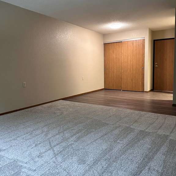 a room with a carpeted floor and two wooden doors.