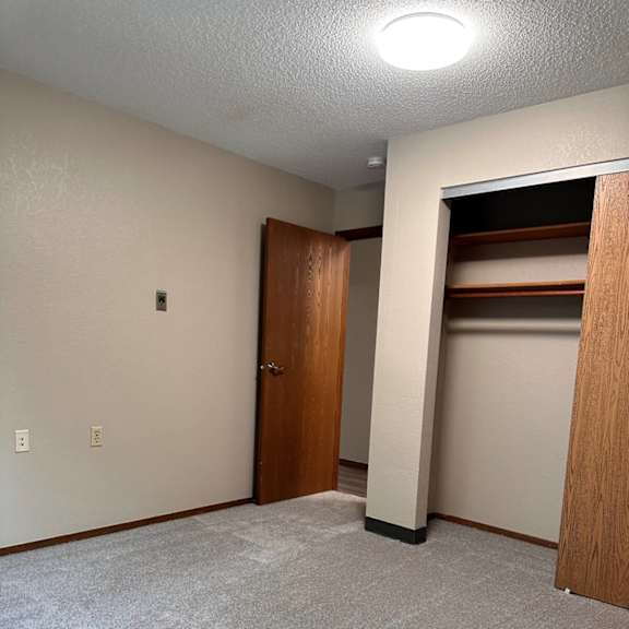 a room with a carpeted floor and a closet with shelves.