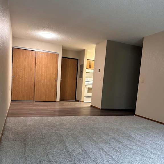 a room with a grey carpet and two wooden doors.