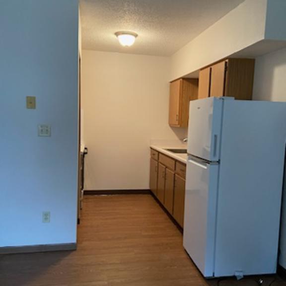 a kitchen with a white refrigerator and wooden cabinets.
