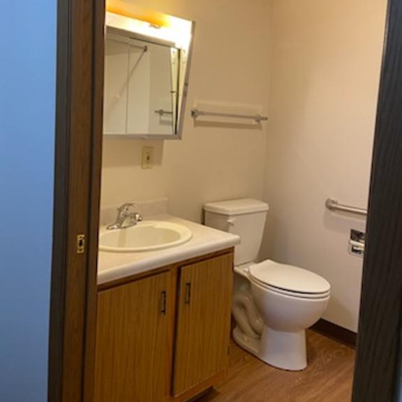 a bathroom with a toilet, sink, and mirror.
