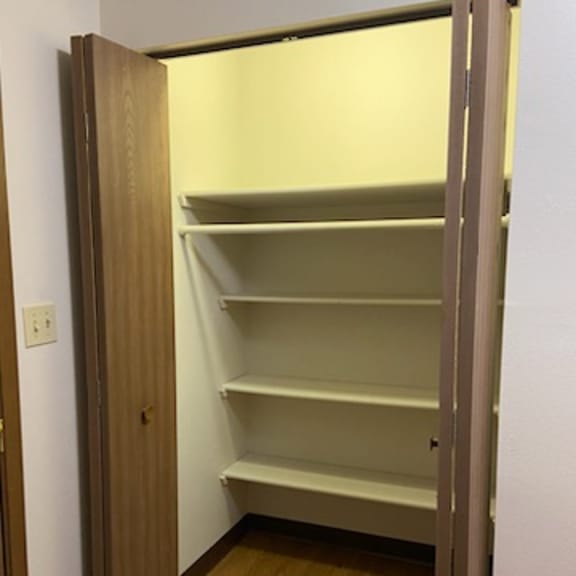 a pantry with a door open and shelves inside.