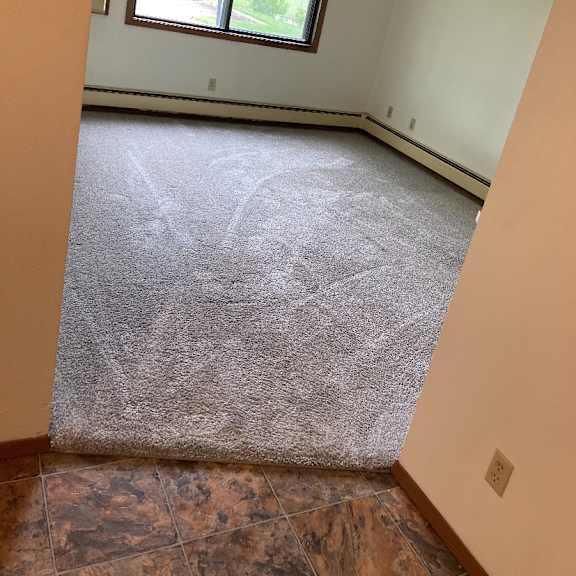a room with a carpet, a window, and a wall socket.