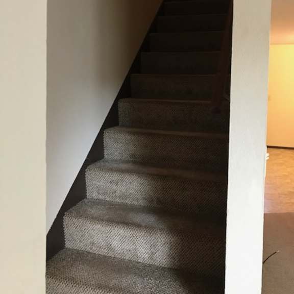 a staircase with a carpeted runner and wooden risers.