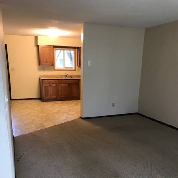a carpeted room with a window and a sink.