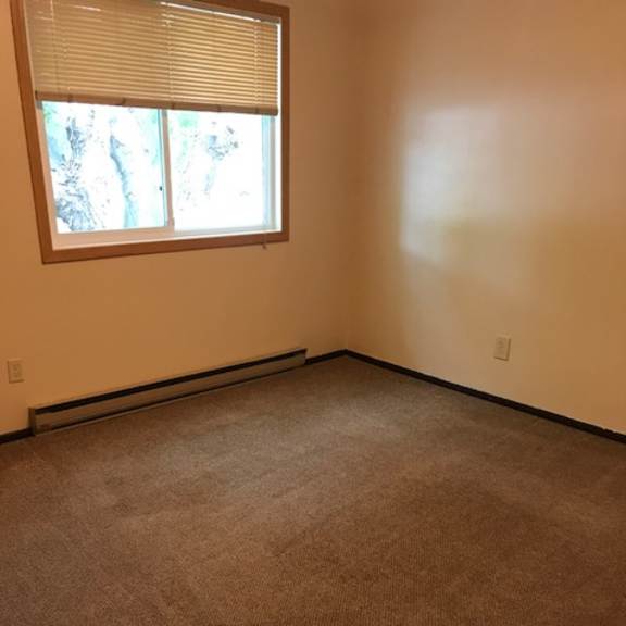 a room with a carpeted floor and a window with blinds.