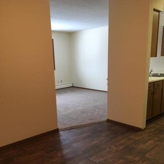 a room with wooden floors and a carpeted area.