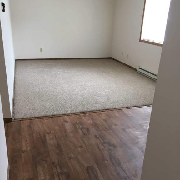 a room with a carpet and wooden floor.