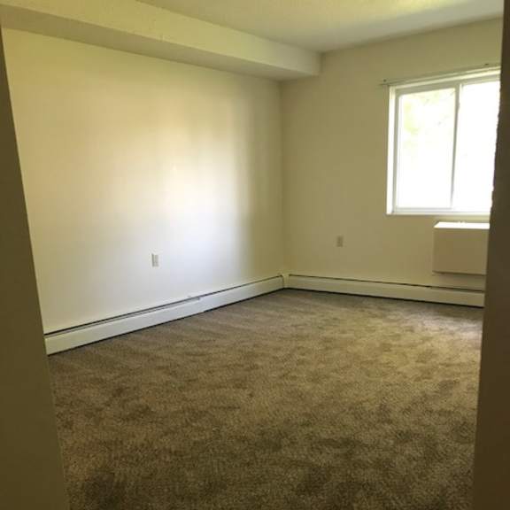 a room with carpeted floor and a window letting in sunlight.