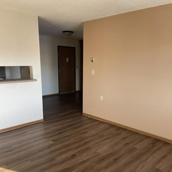 a room with wooden flooring and a brown door.