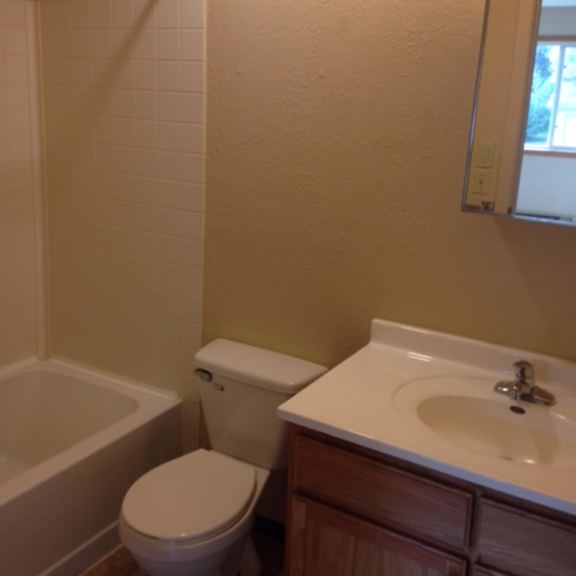 a white toilet sits next to a sink in a bathroom.