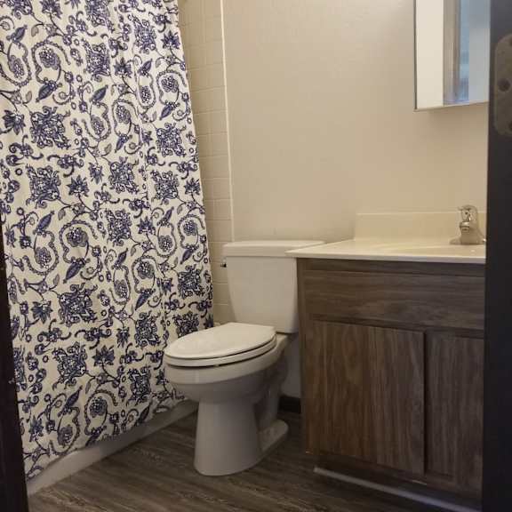 a white toilet sits next to a shower curtain in a bathroom.