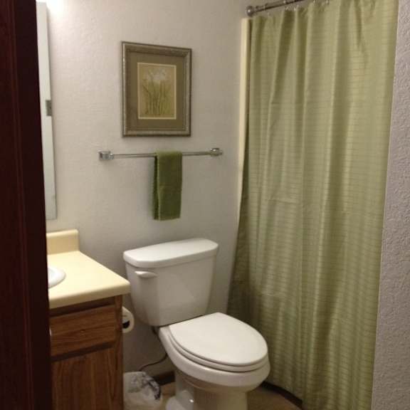 a bathroom with a toilet, a shower curtain, and a picture on the wall.