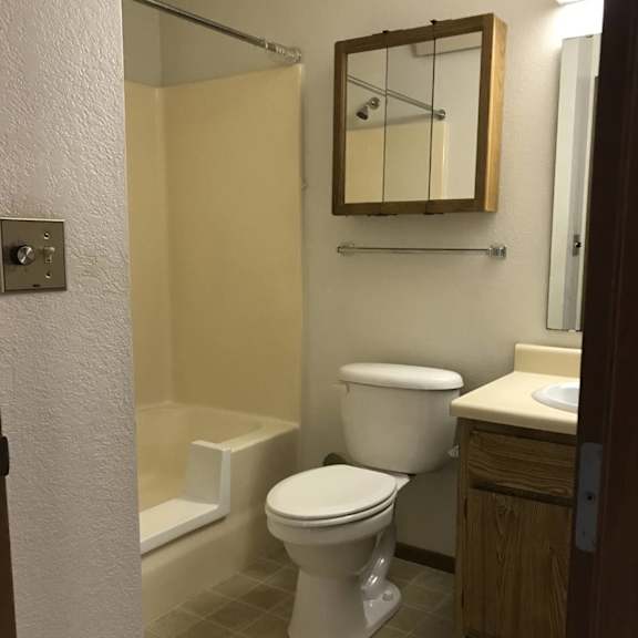 a white toilet sits in a bathroom next to a sink and a mirror.