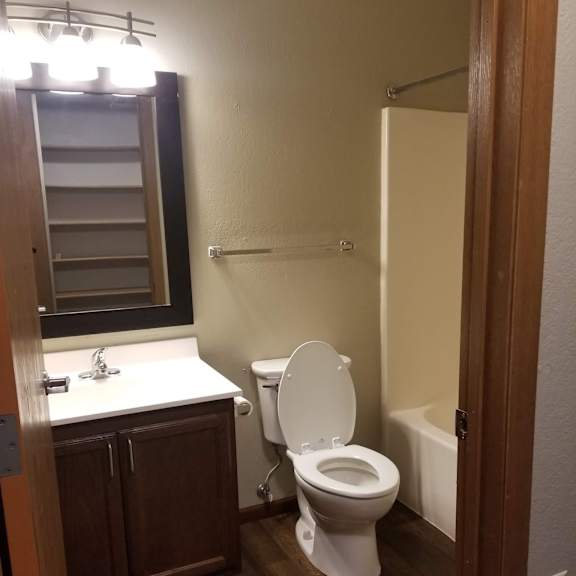 a white toilet sits in a bathroom next to a sink and a mirror.