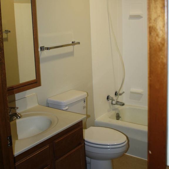 a white toilet sits next to a sink in a bathroom.