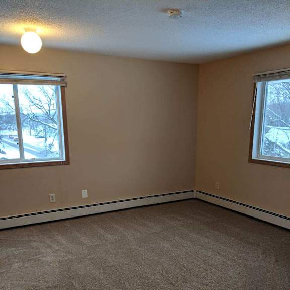 a room with carpeted floor and two windows.