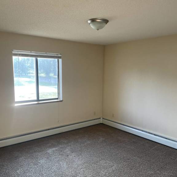 a room with a carpeted floor and a window letting in sunlight.