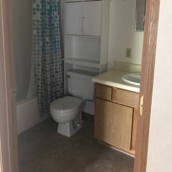 a bathroom with a toilet, sink, and shower curtain.