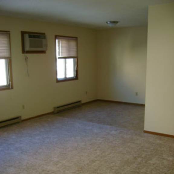 a room with a carpeted floor and two windows.