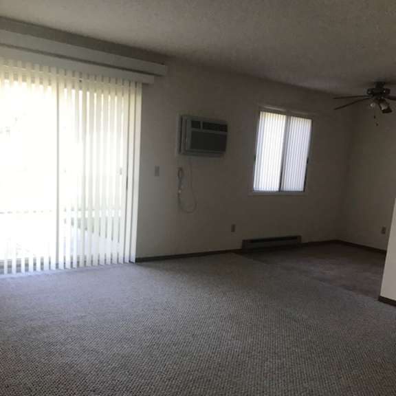 a room with a carpeted floor, a ceiling fan, and a window with blinds.