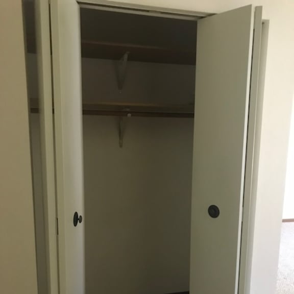 a white door is open to a small closet.