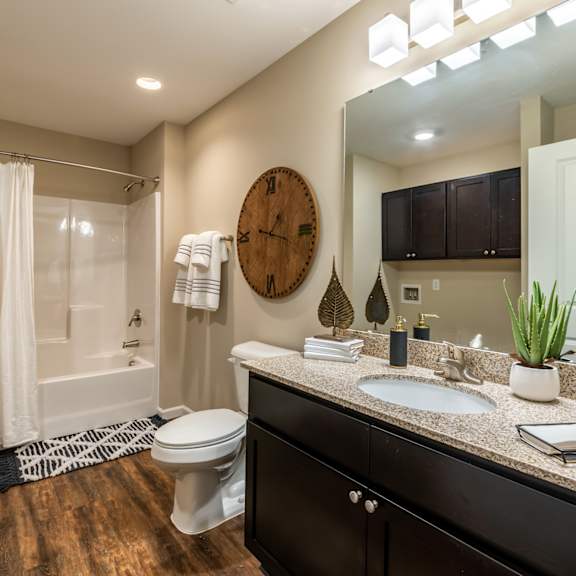a bathroom with a sink and a toilet and a shower