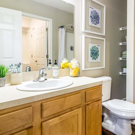 north ridgeville oh apartment rentals redwood north ridgeville meadow lakes blvd bathroom