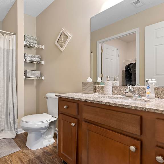 a bathroom with a toilet, sink, and shower.
