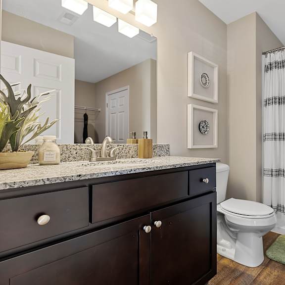 a bathroom with a toilet, sink, and shower.