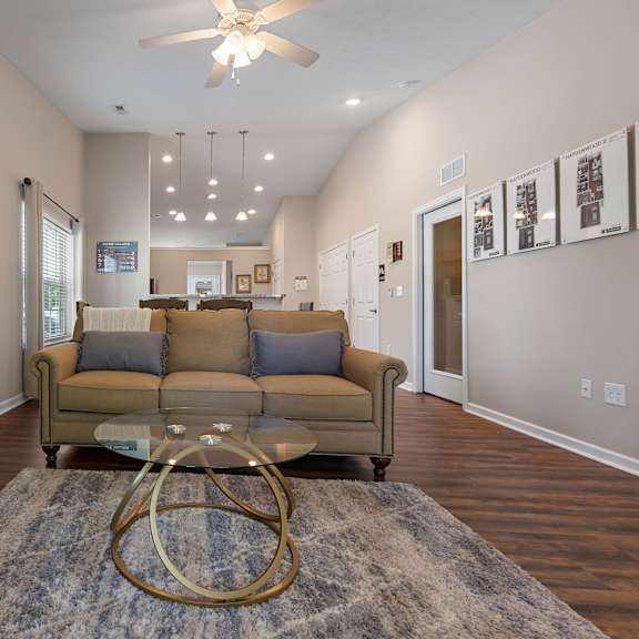 a living room with a couch, a tv, and a rug.