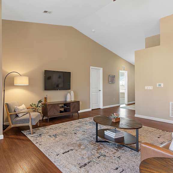 a living room with a television, a couch, a chair, and a rug.