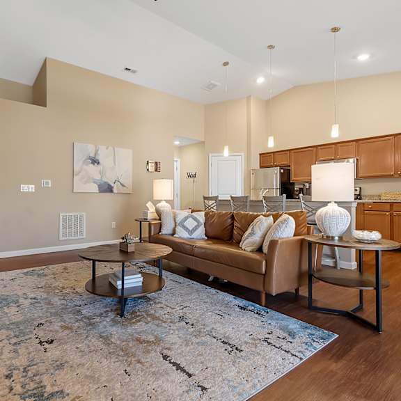 a living room with a couch, coffee table, and a rug.