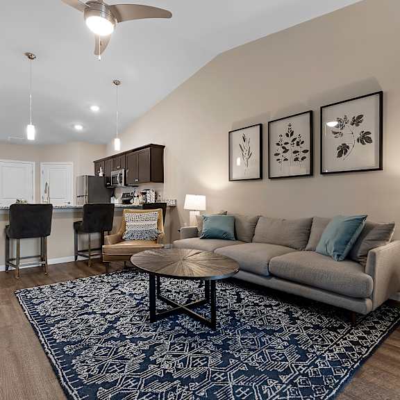 a living room with a grey couch, a coffee table, and a rug.
